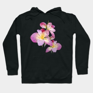 Purple Flower, Beautiful Flowers Hoodie